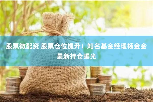 股票微配资 股票仓位提升！知名基金经理杨金金最新持仓曝光