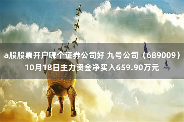 a股股票开户哪个证券公司好 九号公司（689009）10月18日主力资金净买入659.90万元