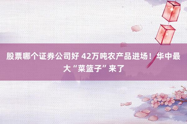 股票哪个证券公司好 42万吨农产品进场！华中最大“菜篮子”来了